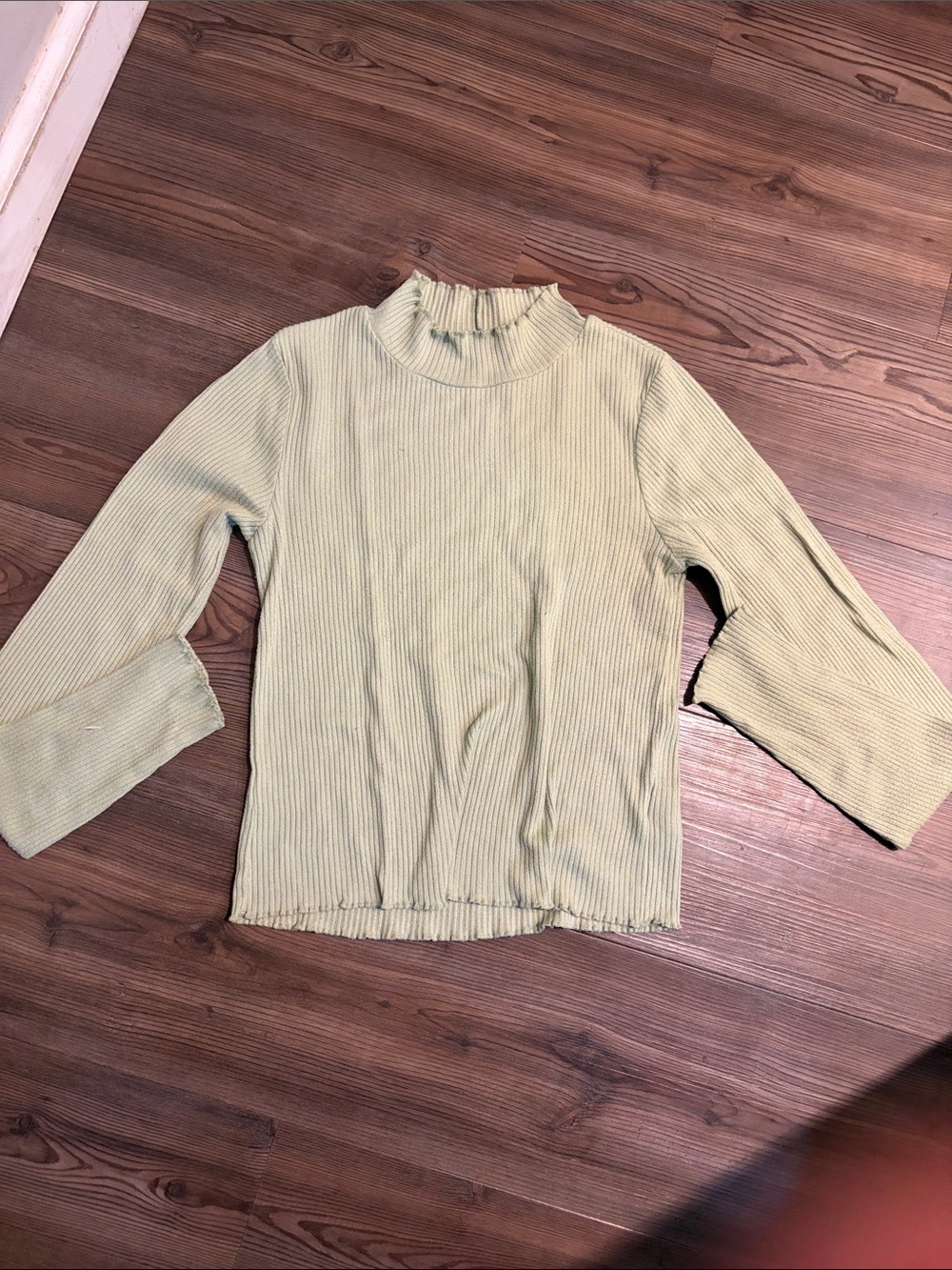 American Eagle Outfitters Light Green Ribbed Mock Neck Top